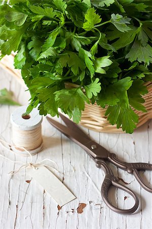 simsearch:400-05919877,k - Bunch of fresh parsley and scissors on a white board. Stock Photo - Budget Royalty-Free & Subscription, Code: 400-07167349