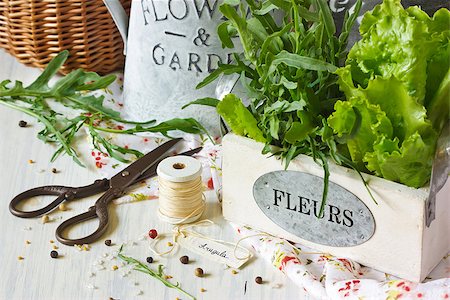 simsearch:400-06358844,k - Fresh herbs and aromatic spices on an old wooden board. Photographie de stock - Aubaine LD & Abonnement, Code: 400-07167353