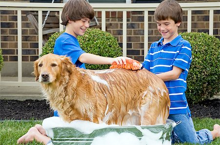 Two Boys Giving Dog a Bath Outside Stock Photo - Budget Royalty-Free & Subscription, Code: 400-07167646
