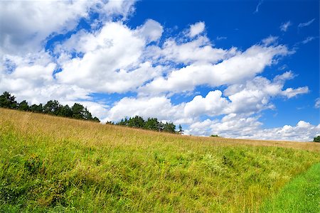 simsearch:400-07295947,k - beautiful cloudscape on blue sky over green meadow in summer Fotografie stock - Microstock e Abbonamento, Codice: 400-07168161