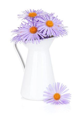 daisies in vase - Blue camomile flowers in jug. Isolated on white background Stock Photo - Budget Royalty-Free & Subscription, Code: 400-07168568