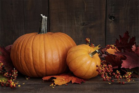 simsearch:400-08776231,k - Small pumpkins on wood table Stockbilder - Microstock & Abonnement, Bildnummer: 400-07168733