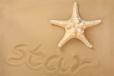 Starfish seashell on sand with star word. Stock Photo - Budget Royalty-Free & Subscription, Code: 400-07169417