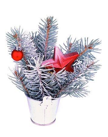 simsearch:400-06554049,k - Bunch of Blue Spruce Branches with HoarFrost, Red Bauble and Red Star Shape in Tin Bucket isolated on white background Foto de stock - Royalty-Free Super Valor e Assinatura, Número: 400-07169434