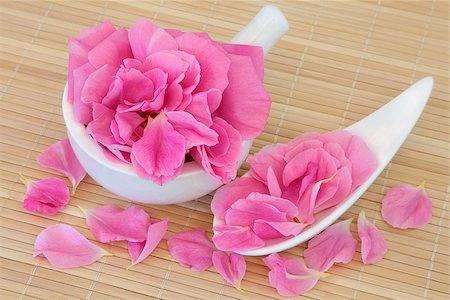 simsearch:400-07175956,k - Rose flower petals used in chinese and natural alternative herbal medicine. Rosa chinensis. Stock Photo - Budget Royalty-Free & Subscription, Code: 400-07169687