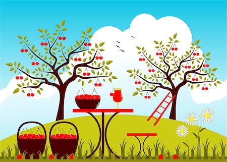 vector table with baskets of cherries and daisies in garden, Adobe Illustrator 8 format Stock Photo - Budget Royalty-Free & Subscription, Code: 400-07174817