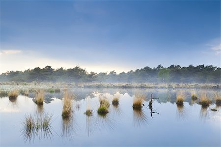 simsearch:400-07173519,k - blue fog over swamp in Drenthe after rain Foto de stock - Super Valor sin royalties y Suscripción, Código: 400-07174974