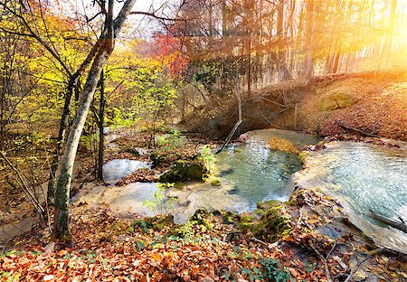 simsearch:400-03973407,k - Cascade mountain river in a forest in autumn Stock Photo - Budget Royalty-Free & Subscription, Code: 400-07175099