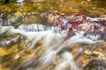 simsearch:400-03973407,k - Closeup of a creek in a forest in summer with a long exposure time in the autumn. Stock Photo - Budget Royalty-Free & Subscription, Code: 400-07175201