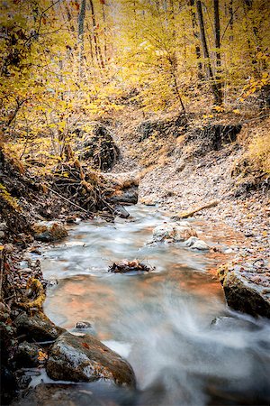 simsearch:632-05604175,k - Picture of a creek in a forest in summer with a long exposure time in the autumn. Foto de stock - Super Valor sin royalties y Suscripción, Código: 400-07175203