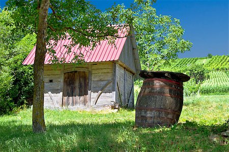 simsearch:400-07305550,k - Wooden cottage and oak wine barrel in vineyard, Croatia Photographie de stock - Aubaine LD & Abonnement, Code: 400-07175409