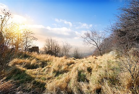 simsearch:400-04761029,k - Dry trees and grass in autumn mountains Fotografie stock - Microstock e Abbonamento, Codice: 400-07175532