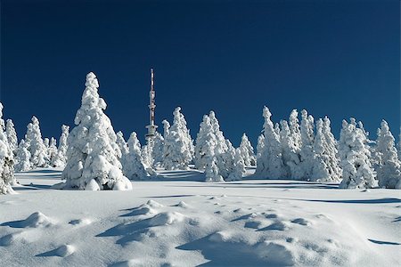 rogit (artist) - Snowy plain with a snow-covered trees below the TV tower on the top of Praded - the highest peak of Jeseniky mountains, Czech Republic. Stock Photo - Budget Royalty-Free & Subscription, Code: 400-07176102