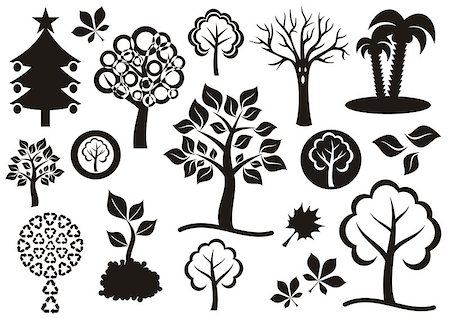 simsearch:400-09121794,k - Vector set of various black tree icons isolated Stock Photo - Budget Royalty-Free & Subscription, Code: 400-07176416