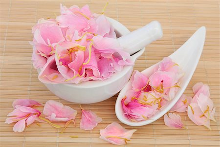 simsearch:400-07174356,k - Peony flower petals used in chinese and natural alternative herbal medicine. Paeonia. Fuguihua. Stock Photo - Budget Royalty-Free & Subscription, Code: 400-07176436