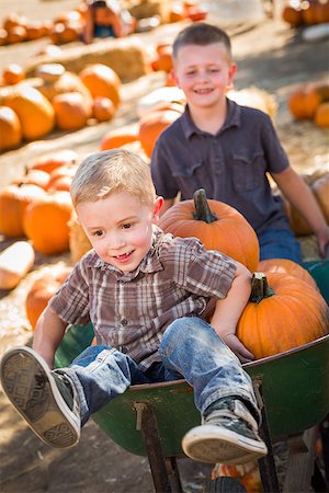 simsearch:400-07173780,k - Two Little Boys Playing in Wheelbarrow at the Pumpkin Patch in a Rustic Country Setting. Stockbilder - Microstock & Abonnement, Bildnummer: 400-07179039