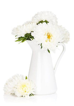 simsearch:400-04714958,k - White aster flowers. Isolated on white background Foto de stock - Super Valor sin royalties y Suscripción, Código: 400-07179442
