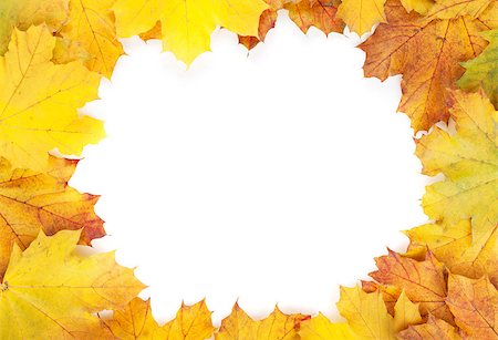 simsearch:400-04651966,k - Colorful autumn maple leaves frame. Isolated on white background Foto de stock - Super Valor sin royalties y Suscripción, Código: 400-07179575