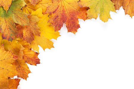 simsearch:400-04651966,k - Colorful autumn maple leaves frame. Isolated on white background Foto de stock - Super Valor sin royalties y Suscripción, Código: 400-07179576