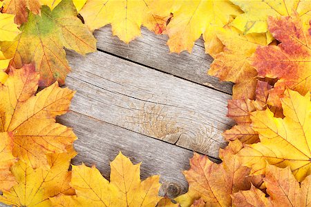 simsearch:400-06852043,k - Colorful autumn maple leaves on wooden table Fotografie stock - Microstock e Abbonamento, Codice: 400-07179578