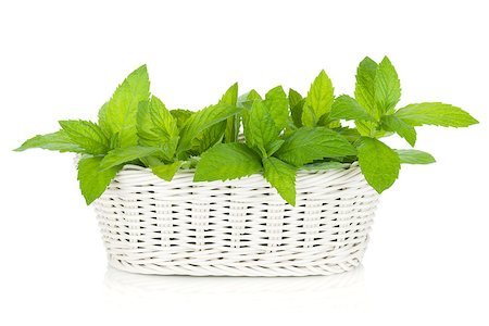 simsearch:400-06531157,k - Basket of fresh mint. Isolated on white background Foto de stock - Royalty-Free Super Valor e Assinatura, Número: 400-07179748