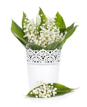 simsearch:689-03124006,k - Lily of the valley in flower pot. Isolated on white background Photographie de stock - Aubaine LD & Abonnement, Code: 400-07179742