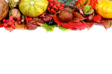 Frame of Autumn Harvest with Vegetables, Berries, Mushrooms, Nuts and Various Leafs isolated on white background Stock Photo - Budget Royalty-Free & Subscription, Code: 400-07170235