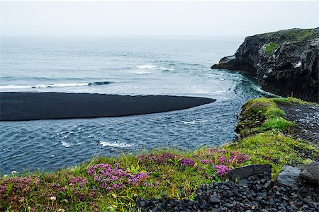 dyrholaey - Black volcanic sand on the south coast of Iceland Stock Photo - Budget Royalty-Free & Subscription, Code: 400-07170301