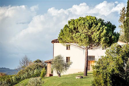 Picture of a typical house with tree and clouds on blue sky in Tuscany, Italy Stock Photo - Budget Royalty-Free & Subscription, Code: 400-07170618