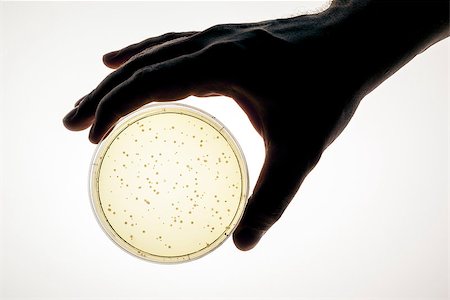 An image of a hand holding a petri dish Foto de stock - Super Valor sin royalties y Suscripción, Código: 400-07170643