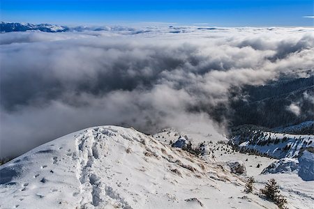 simsearch:400-08696328,k - winter mountain landscape. Location: Piatra Craiului Mountains, Romania Foto de stock - Super Valor sin royalties y Suscripción, Código: 400-07170726