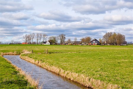 simsearch:400-07046539,k - typical dutch farmland with canal, Holland Stock Photo - Budget Royalty-Free & Subscription, Code: 400-07170888