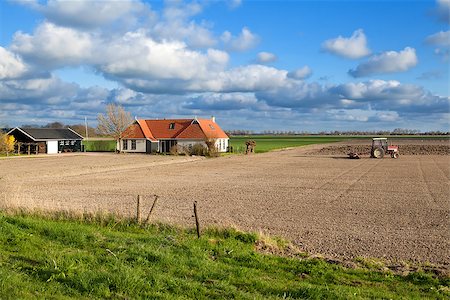 simsearch:400-07295947,k - tractor plowing field in spring by Dutch farmhouse Fotografie stock - Microstock e Abbonamento, Codice: 400-07170891