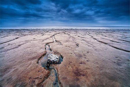 mud on North sea bottom at low tide, Moddergat, the Netherlands Stock Photo - Budget Royalty-Free & Subscription, Code: 400-07170909