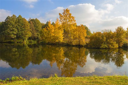 simsearch:400-08336120,k - Autumnal landscape. Yellow and orange foliage of trees at fall. Forest at river bank and its reflection in water. Foto de stock - Royalty-Free Super Valor e Assinatura, Número: 400-07172181