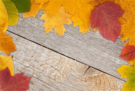 simsearch:400-07179654,k - Autumn leaves on wood texture background Photographie de stock - Aubaine LD & Abonnement, Code: 400-07172468