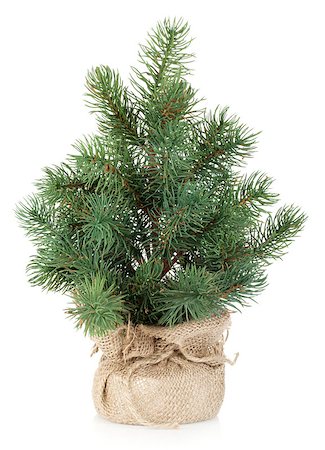Fake mini Christmas tree. Isolated on white background Stock Photo - Budget Royalty-Free & Subscription, Code: 400-07172507