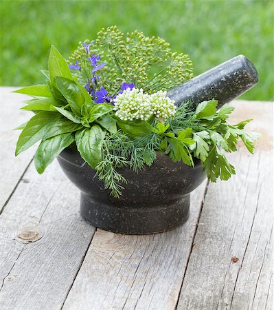 simsearch:400-04348087,k - Fresh herbs in mortar on garden table Stock Photo - Budget Royalty-Free & Subscription, Code: 400-07172572