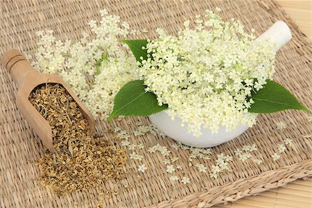 simsearch:400-07175956,k - Meadowsweet herb flowers dried and fresh used in natural alternative medicine. Filipendula ulmaria. Stock Photo - Budget Royalty-Free & Subscription, Code: 400-07173040