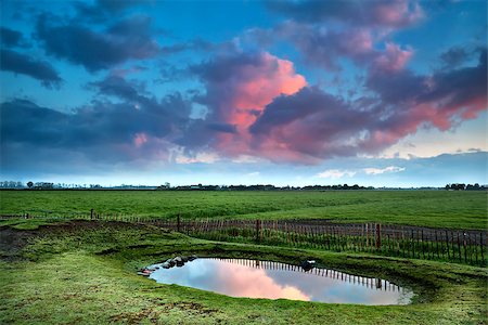 simsearch:400-07173519,k - dramatic sunrise reflected in little pond, Groningen, Netherlands Foto de stock - Super Valor sin royalties y Suscripción, Código: 400-07173531