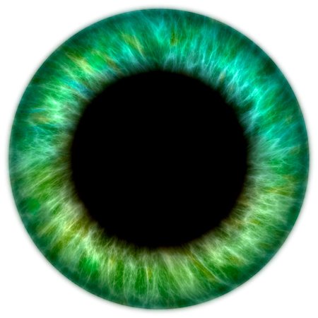 Illustration of a green human iris Photographie de stock - Aubaine LD & Abonnement, Code: 400-07184804