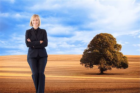 Composite image of attractive friendly businesswoman smiling at the camera in a meeting Stock Photo - Budget Royalty-Free & Subscription, Code: 400-07188120