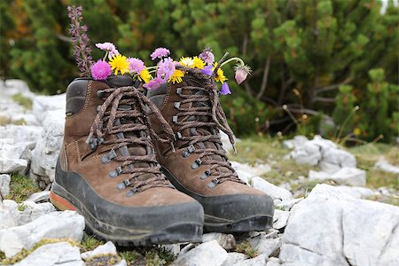 Hiking boots of a hiker with flowers on a rock in the mountains Stockbilder - Microstock & Abonnement, Bildnummer: 400-07180042