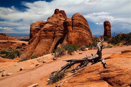 simsearch:400-06918860,k - Scenes from famous Arches National Park, Moab,Utah,USA Stock Photo - Budget Royalty-Free & Subscription, Code: 400-07207288