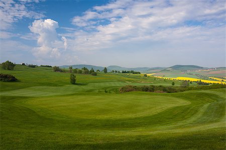 simsearch:400-07218299,k - On the spring golf course Stock Photo - Budget Royalty-Free & Subscription, Code: 400-07207282