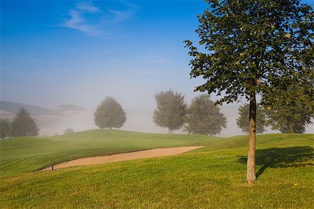 simsearch:400-07218310,k - Summer golf course in the morning mist Fotografie stock - Microstock e Abbonamento, Codice: 400-07207309