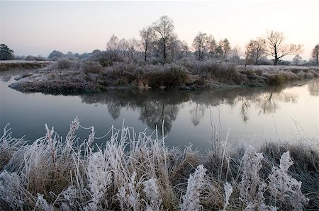 It is autumn morning.The  grass, leaves - always round the river are covered with frost. Stockbilder - Microstock & Abonnement, Bildnummer: 400-07207607