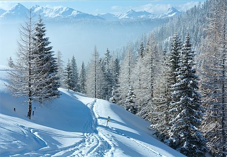 footprint winter landscape mountain - Morning winter misty mountain landscape with fir forest on slope. Photographie de stock - Aubaine LD & Abonnement, Code: 400-07208179