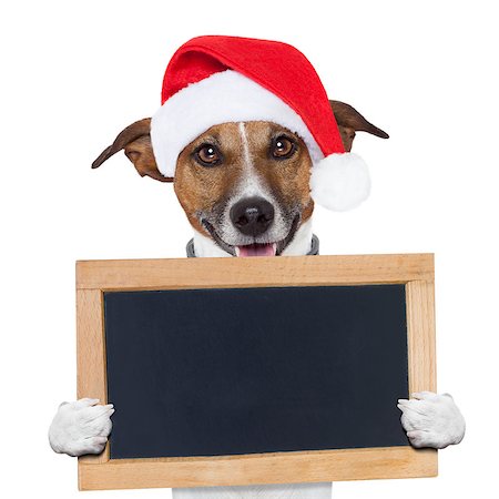 simsearch:400-08898663,k - christmas banner placeholder dog wood board Photographie de stock - Aubaine LD & Abonnement, Code: 400-07208437