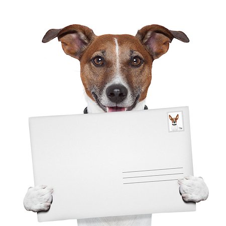 simsearch:400-04350456,k - post envelope mail stamp dog with letter Stock Photo - Budget Royalty-Free & Subscription, Code: 400-07208433